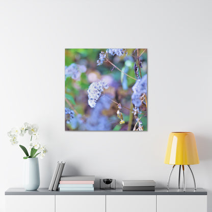 Macro Blue Canvas Gallery Wraps