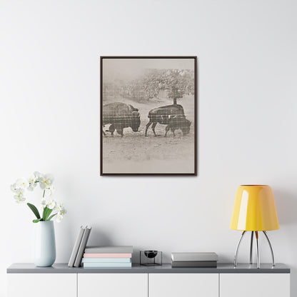Buffalo at Redwood Falls Gallery Canvas Wraps Vertical Frame 24″ x 30″ Premium Gallery Wraps (1.25″) Walnut
