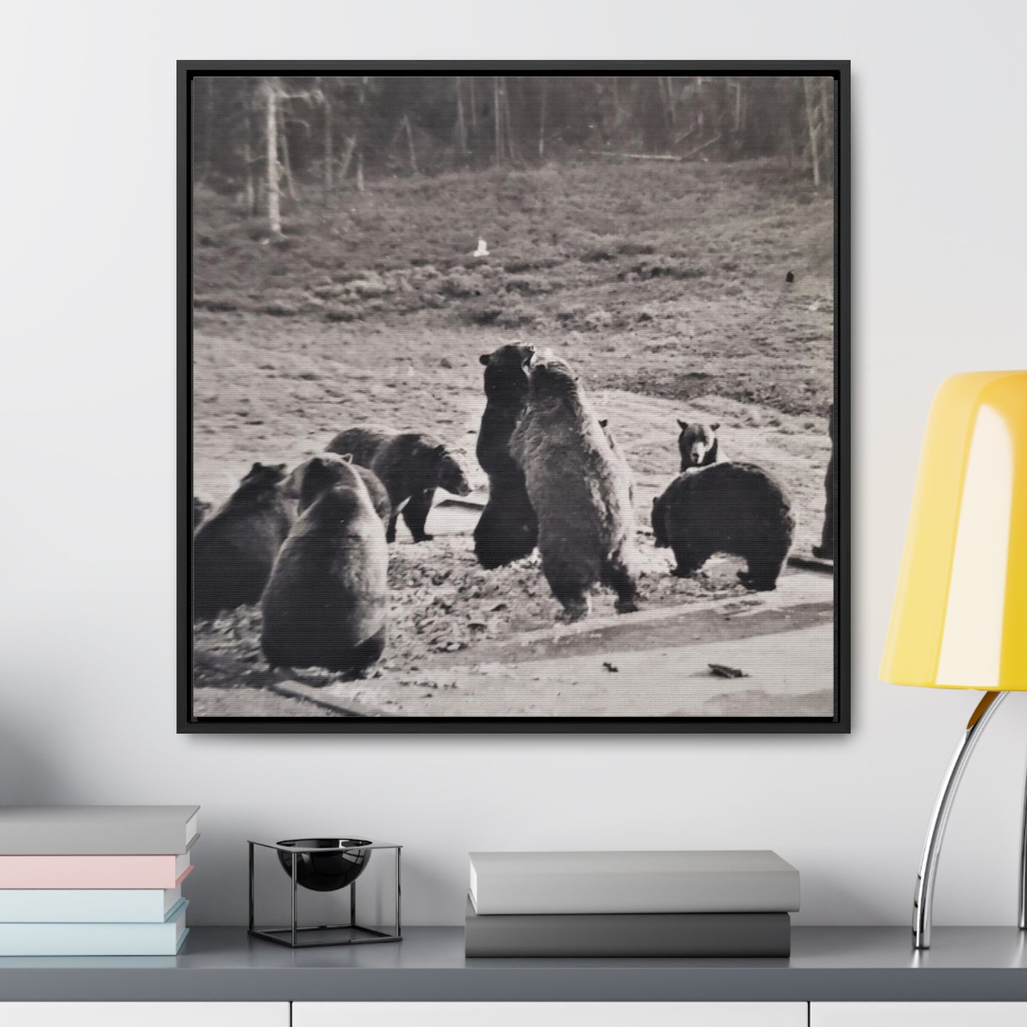 Yellowstone Grizzly Bears Gallery Canvas Wraps, Square Frame