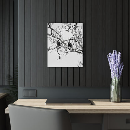 Black & White Buzzards Silhouette Acrylic Print — Modern Minimalist Wall Art - 16″ x 20″ (Vertical) 0.25'' - Home Decor