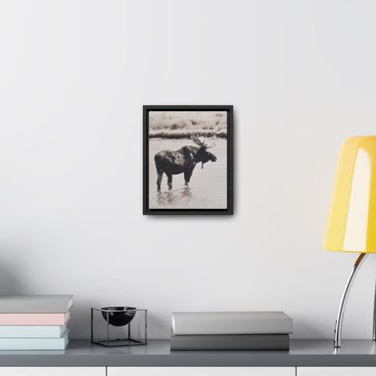 Yellowstone Bull Moose Gallery Canvas Wraps Vertical Frame 8″ x 10″ Premium Gallery Wraps (1.25″) Black