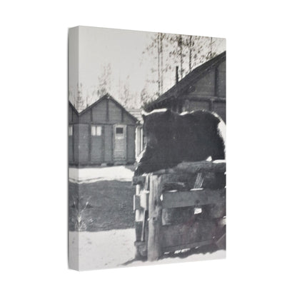 Yellowstone Bear Satin Canvas Stretched