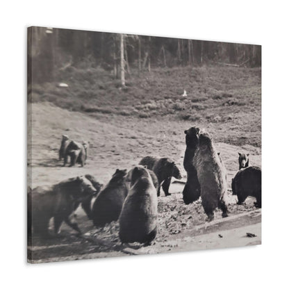 Yellowstone Grizzly Bears Canvas Gallery Wraps