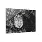 Black & White Turtle Macro Acrylic Print — Modern Nature Wall Art French Cleat Hanging - 36" x 24" (Horizontal) 0.25'' - Home Decor