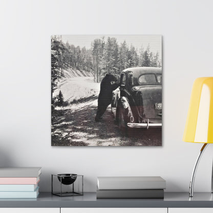 Yellowstone Bear Car Canvas Gallery Wraps 20″ x 20″ 1.25"