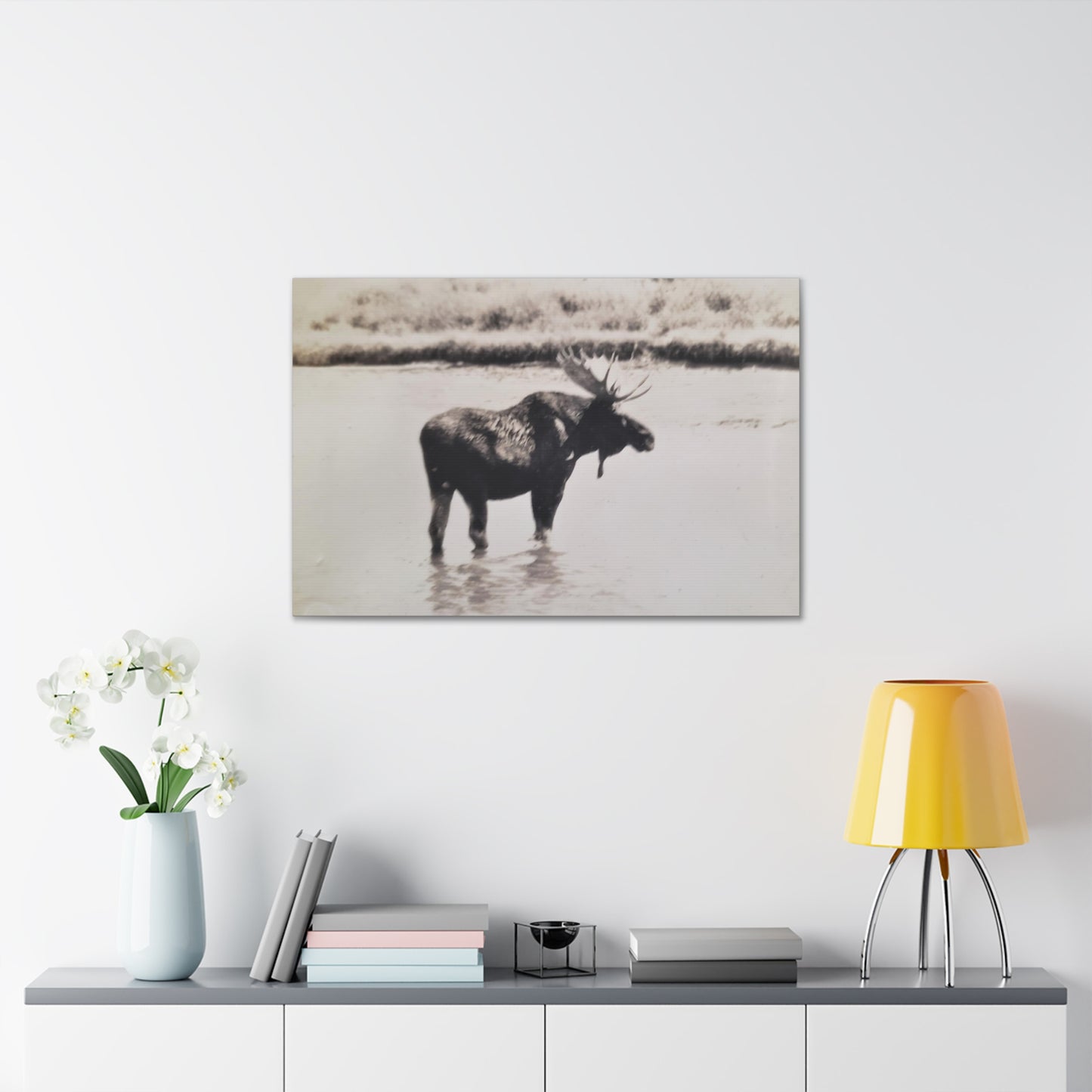 Yellowstone Bull Moose Canvas Gallery Wraps