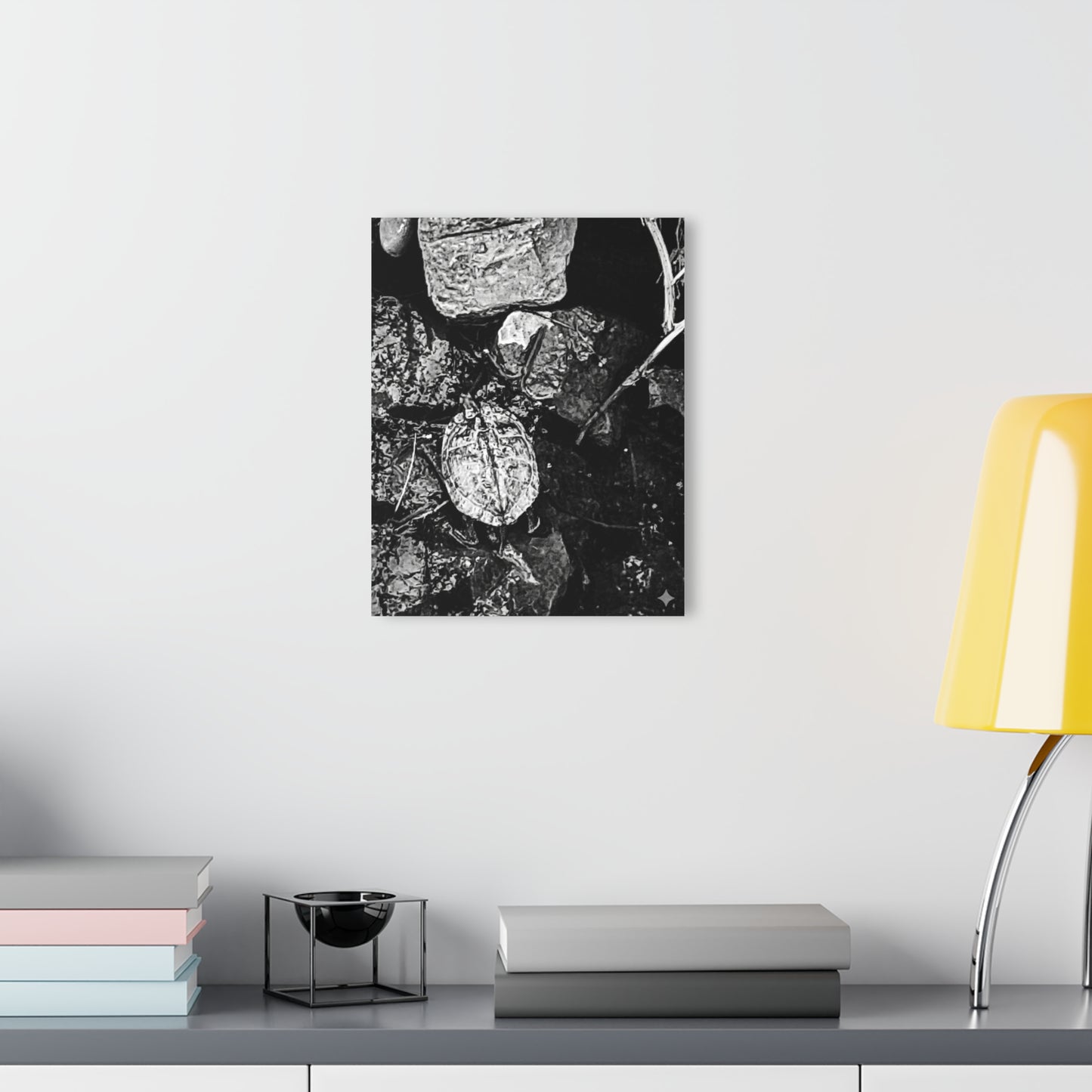 Black & White Turtle Macro Acrylic Print — Modern Nature Wall Art French Cleat Hanging - - Home Decor