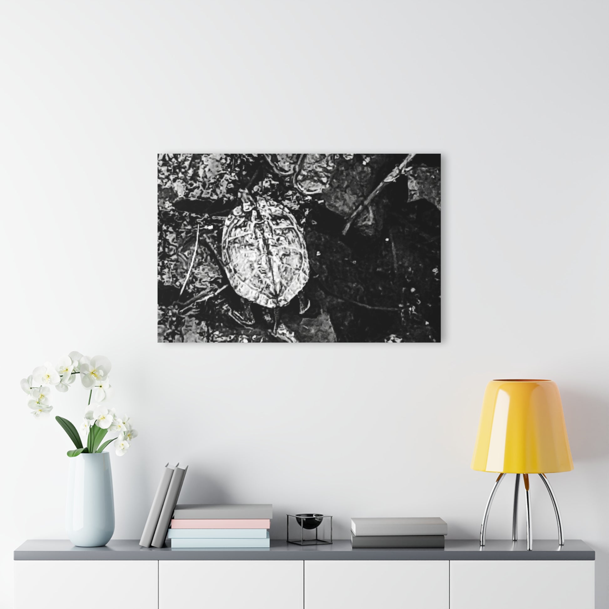 Black & White Turtle Macro Acrylic Print — Modern Nature Wall Art French Cleat Hanging - - Home Decor