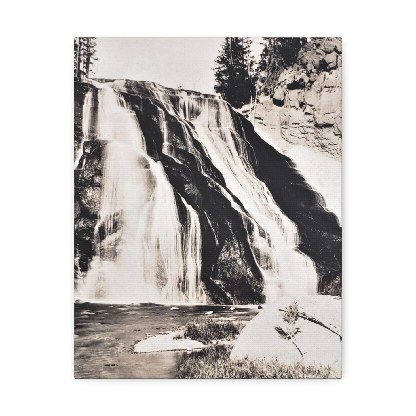 Gibbon Falls Yellowstone Stretched Canvas