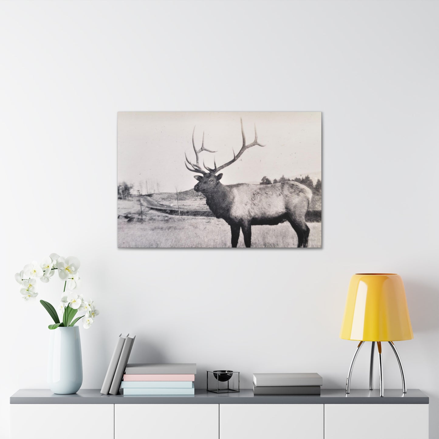 Yellowstone Bull Elk Canvas Gallery Wraps