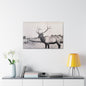 Yellowstone Bull Elk Canvas Gallery Wraps 36" x 24" 1.25"