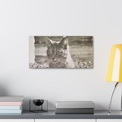Caledonia Canvas Gallery Wraps 20″ x 10″ 1.25"
