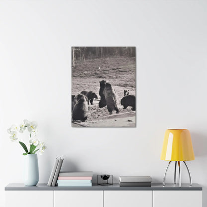 Yellowstone Grizzly Bears Stretched Canvas 1.5" 24″ x 30″