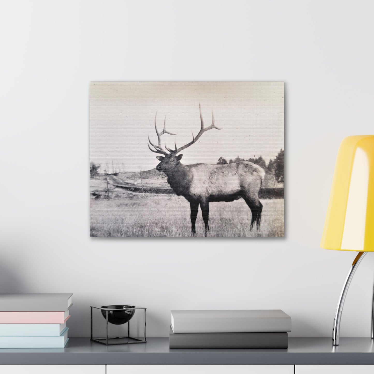 Yellowstone Bull Elk Canvas Gallery Wraps