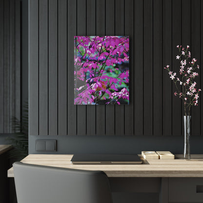 Fall Red Acrylic Prints 16" x 20" (Vertical) Glossy