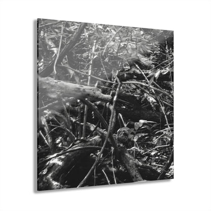 Black & White Deep Timber Path Acrylic Print French Cleat Hanging - 12″ x 12″ 0.25'' - Home Decor