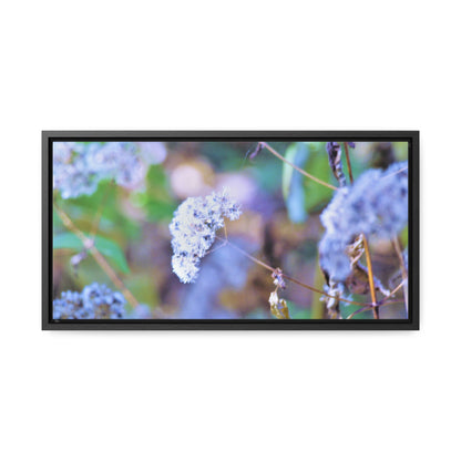 Macro Blue Gallery Canvas Wraps, Horizontal Frame 20″ x 10″ Black Premium Gallery Wraps (1.25″)