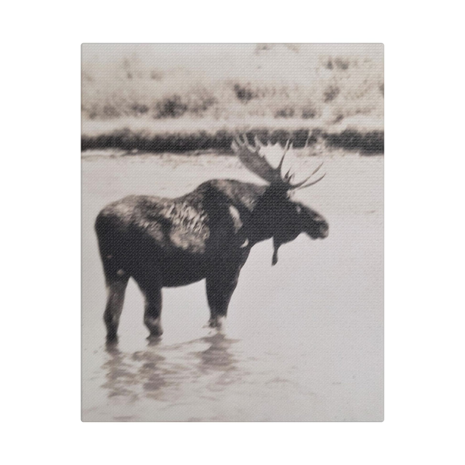 Yellowstone Bull Moose Satin Canvas Stretched
