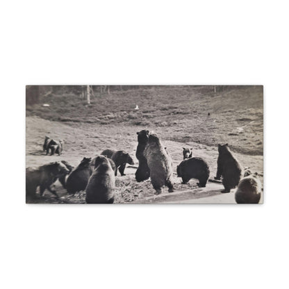 Yellowstone Grizzly Bears Canvas Gallery Wraps