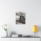 Yellowstone Bear Car Stretched Canvas 1.5" 18″ x 24″