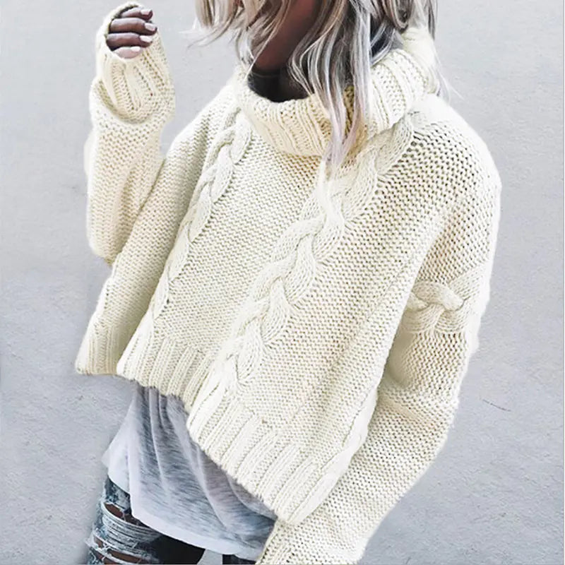 Solid Color Chunky Knit Turtleneck Sweater for Women