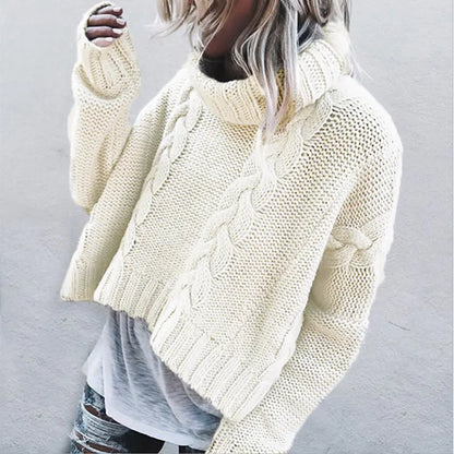Solid Color Chunky Knit Turtleneck Sweater for Women