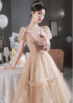 Elegant Summer Fairy Embroidered Dress - - dress