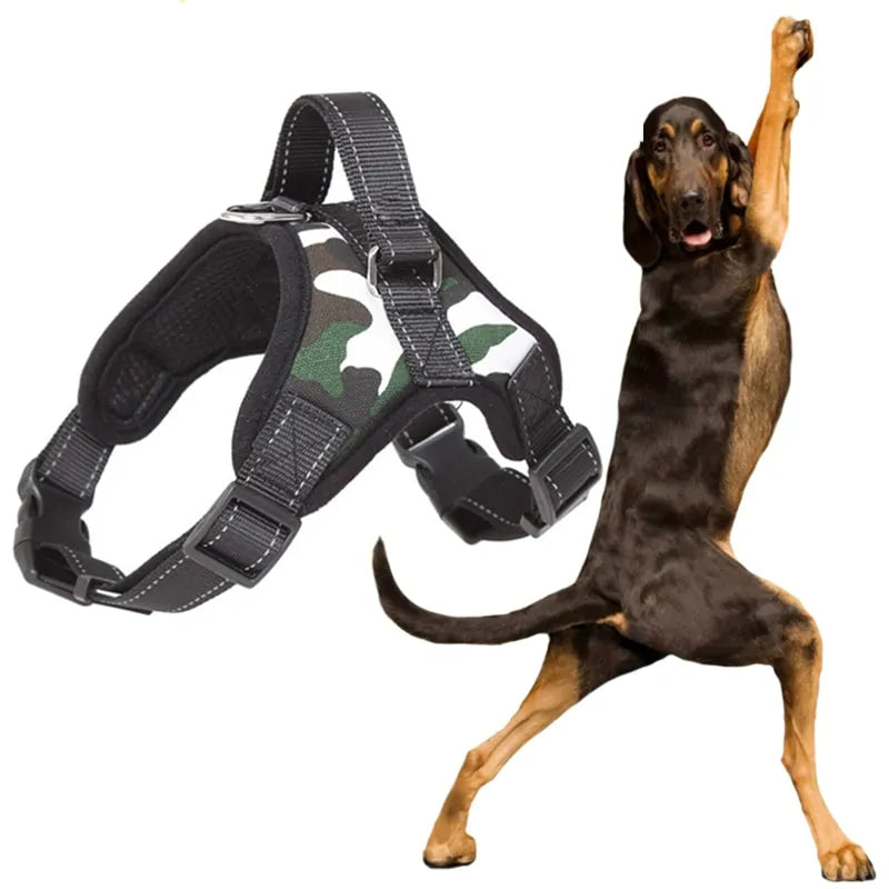 Adjustable Reflective Pet Harness Kia Day Design