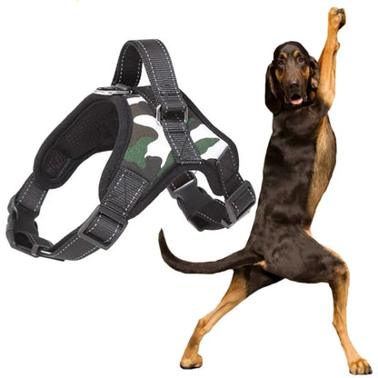 Adjustable Reflective Pet Harness Kia Day Design