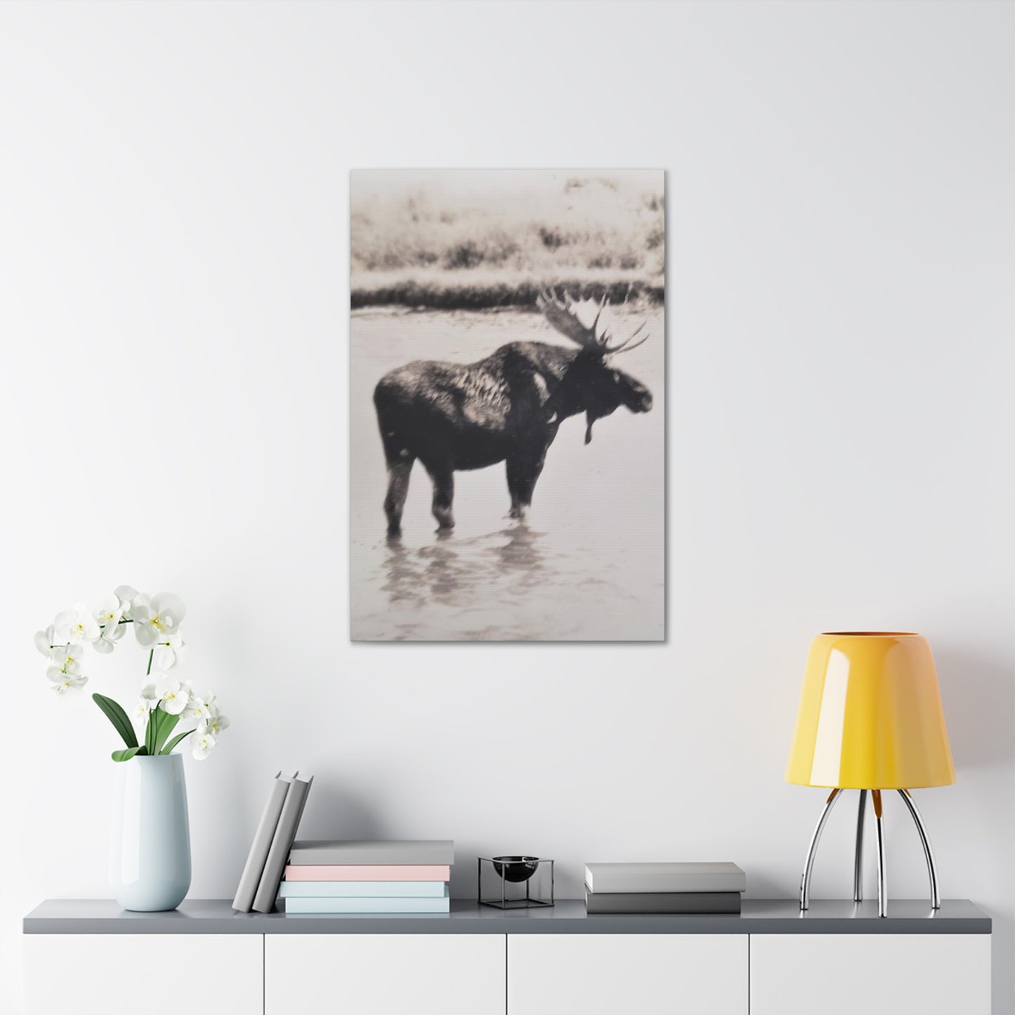 Yellowstone Bull Moose Canvas Gallery Wraps