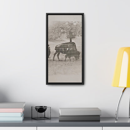 Buffalo at Redwood Falls Gallery Canvas Wraps Vertical Frame 10″ x 20″ Premium Gallery Wraps (1.25″) Black
