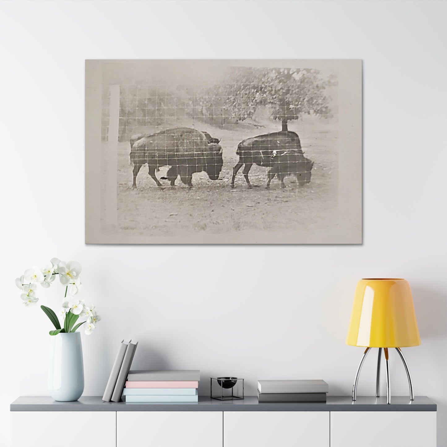 Buffalo at Redwood Falls Canvas Gallery Wraps