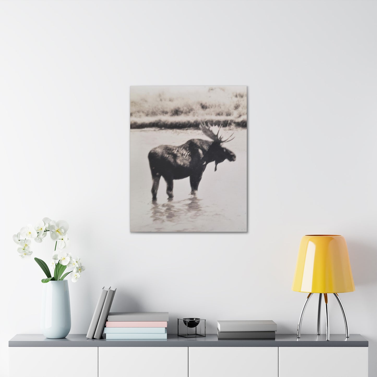 Yellowstone Bull Moose Canvas Gallery Wraps