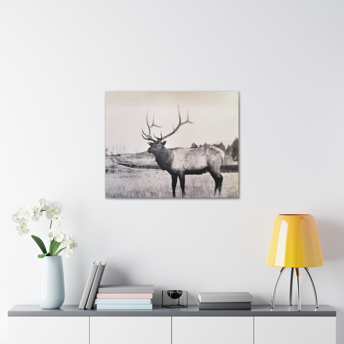 Yellowstone Bull Elk Canvas Gallery Wraps