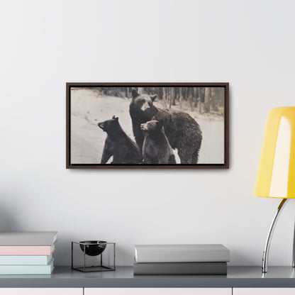 Yellowstone Black Bears Gallery Canvas Wraps 20″ x 10″ Walnut 1.25"