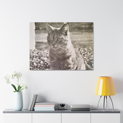 Caledonia Canvas Gallery Wraps 40″ x 30″ 1.25"