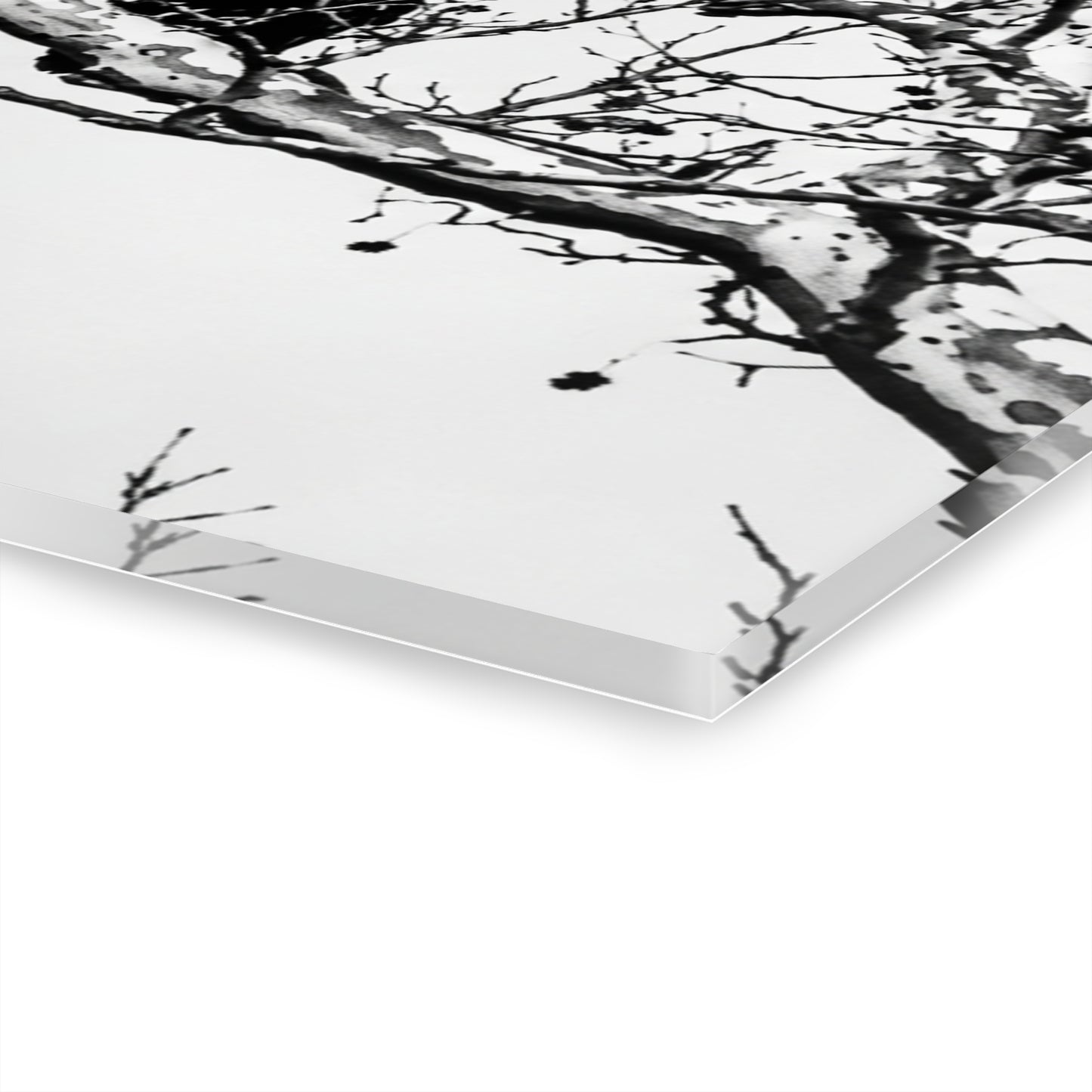 Black & White Buzzards Silhouette Acrylic Print — Modern Minimalist Wall Art - - Home Decor