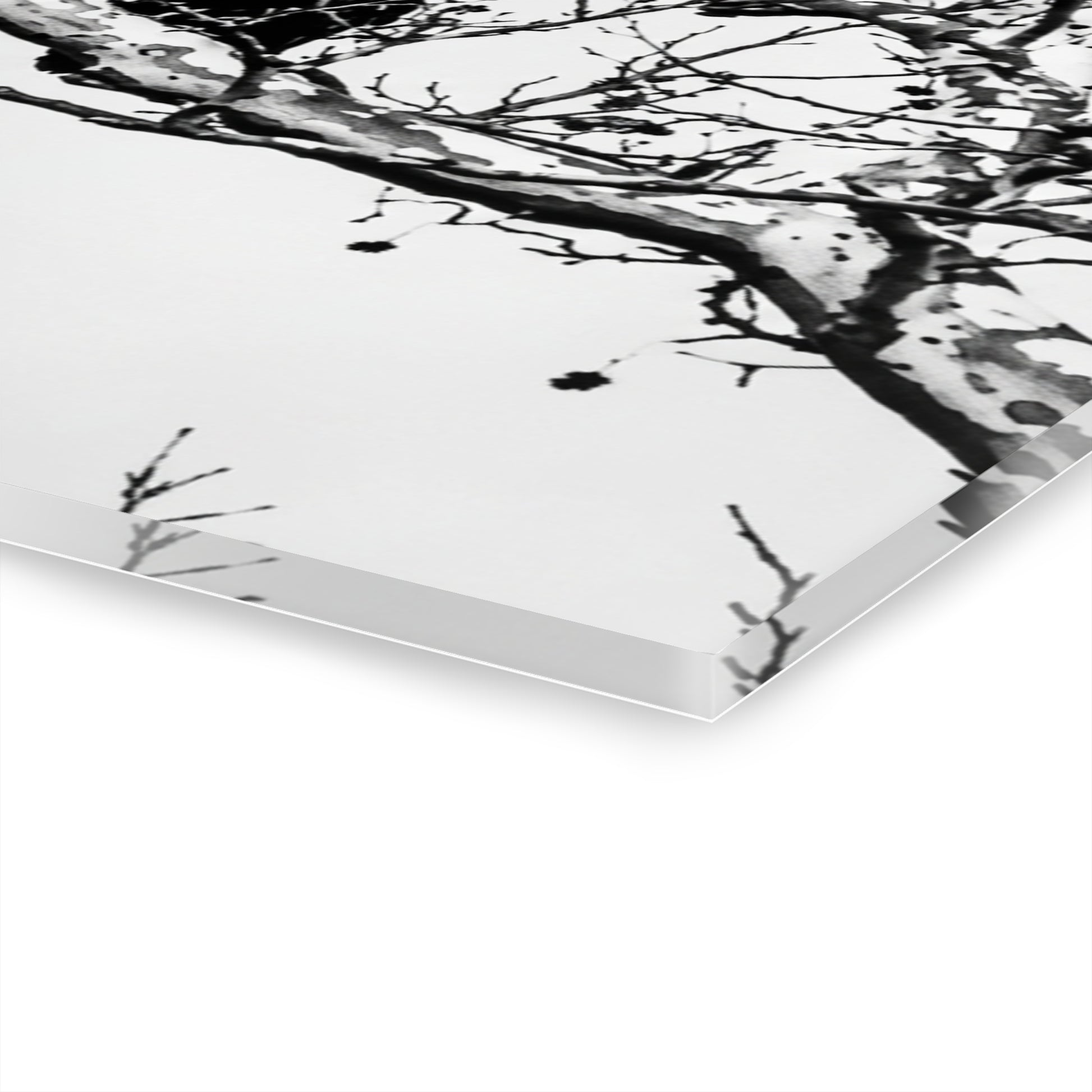 Black & White Buzzards Silhouette Acrylic Print — Modern Minimalist Wall Art - - Home Decor
