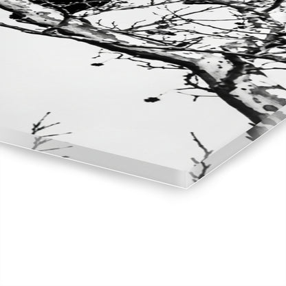 Black & White Buzzards Silhouette Acrylic Print — Modern Minimalist Wall Art - - Home Decor