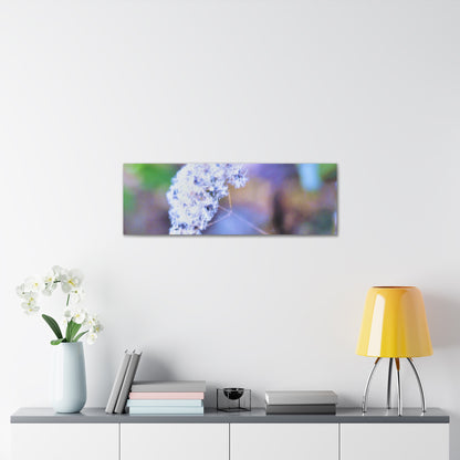 Macro Blue Canvas Gallery Wraps