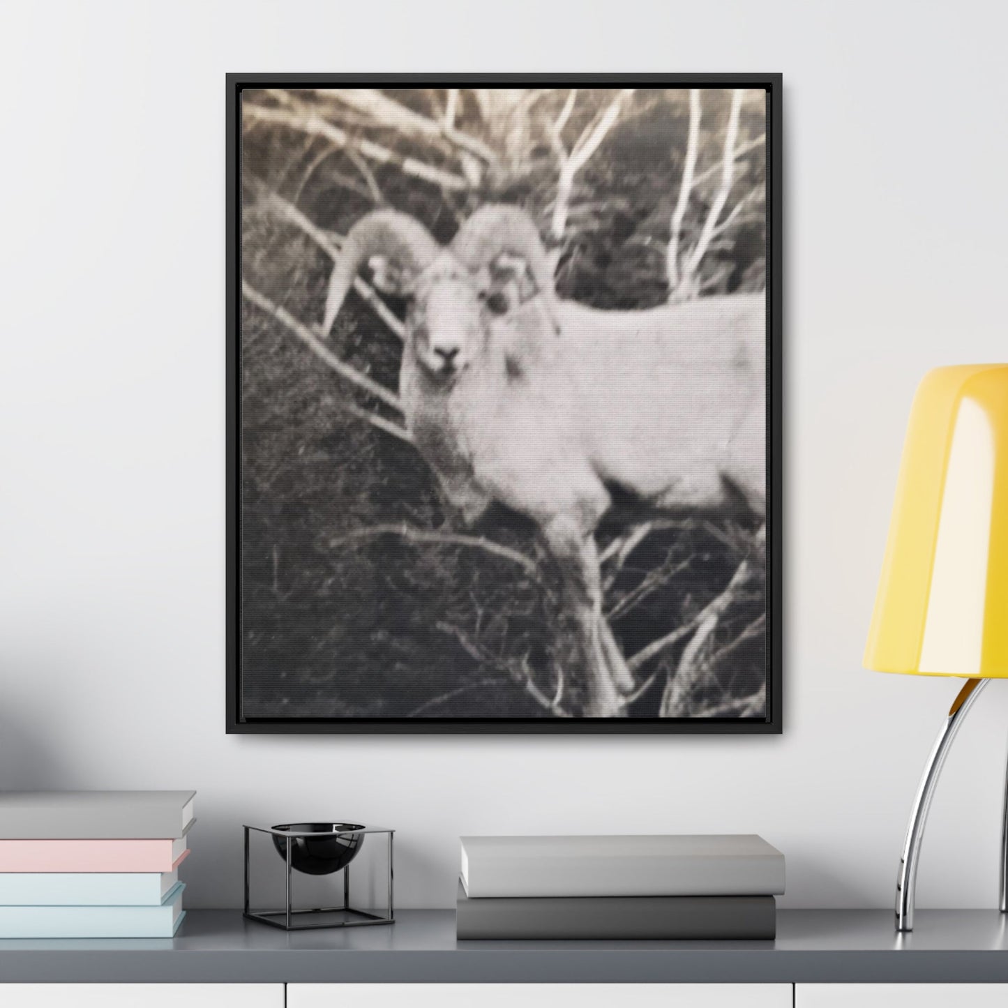 Yellowstone Big Horn Sheep Gallery Canvas Wraps Vertical Frame 20″ x 24″ Premium Gallery Wraps (1.25″) Black