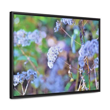 Macro Blue Gallery Canvas Wraps, Horizontal Frame