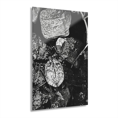 Black & White Turtle Macro Acrylic Print — Modern Nature Wall Art French Cleat Hanging - 24" x 36" (Vertical) 0.25'' - Home Decor