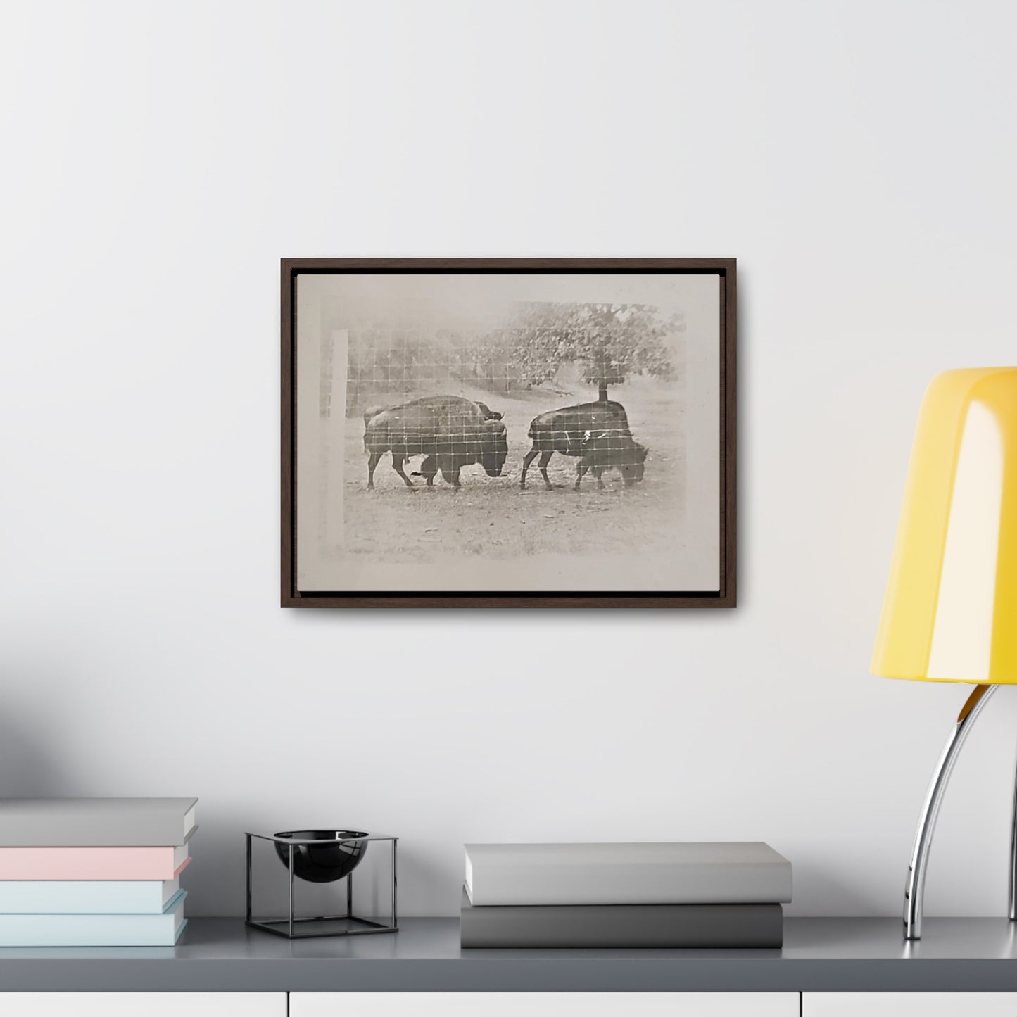 Buffalo at Redwood Falls Gallery Canvas Wraps, Horizontal Frame