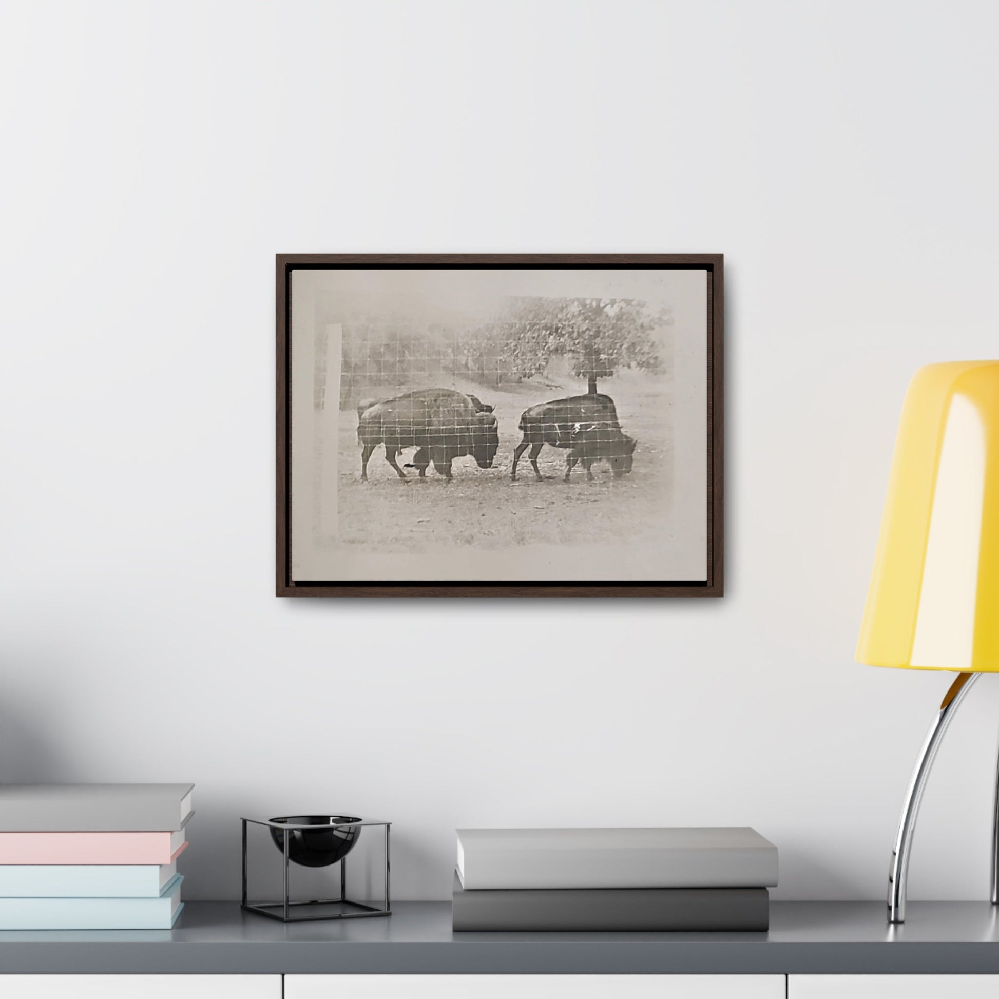 Buffalo at Redwood Falls Gallery Canvas Wraps Horizontal Frame - 16″ x 12″ Walnut Premium Gallery Wraps (1.25″) - Canvas