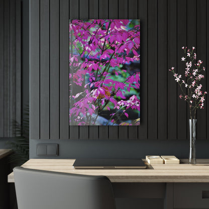 Fall Red Acrylic Prints 20″ x 30″ (Vertical) Glossy