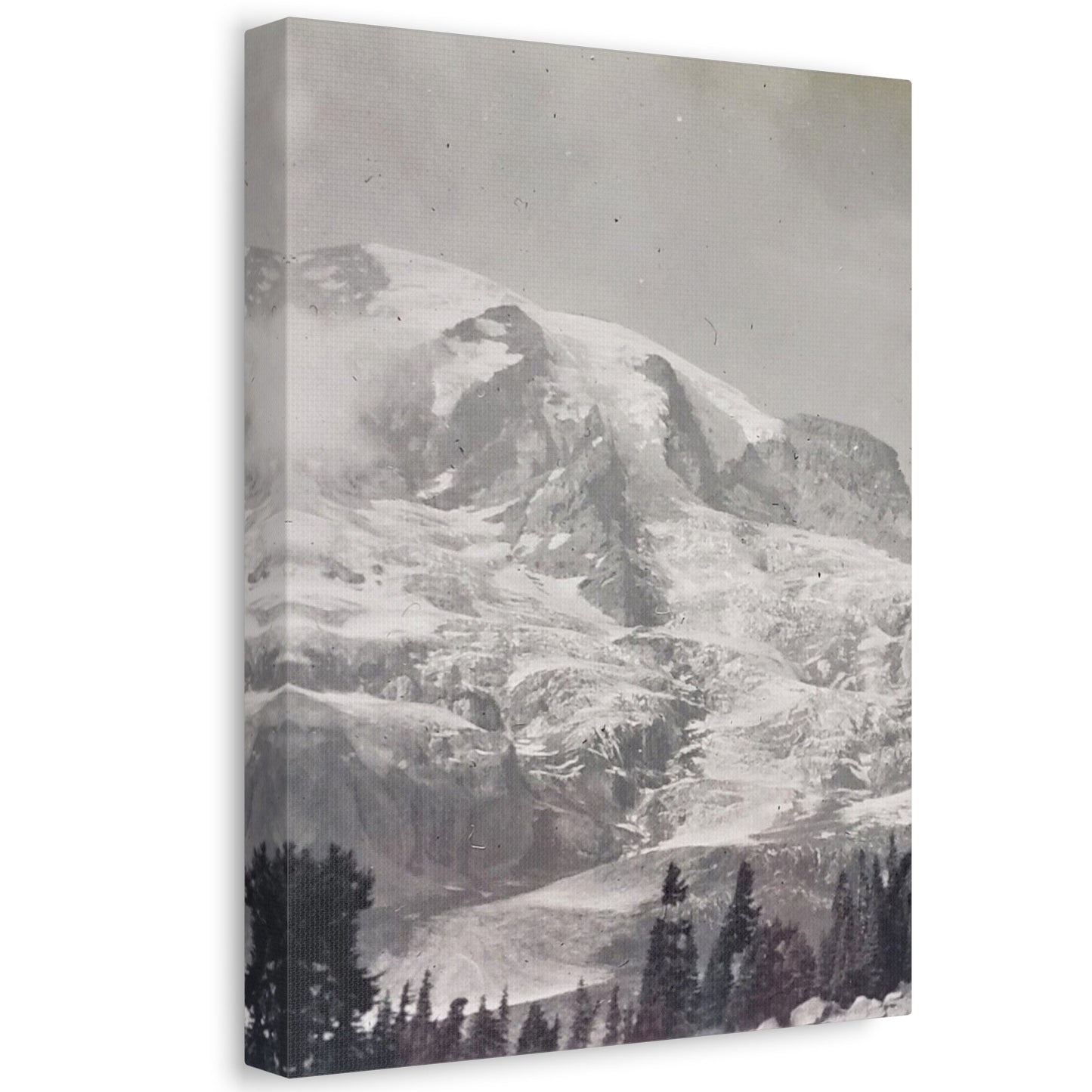 Mount Rainier Stretched Canvas