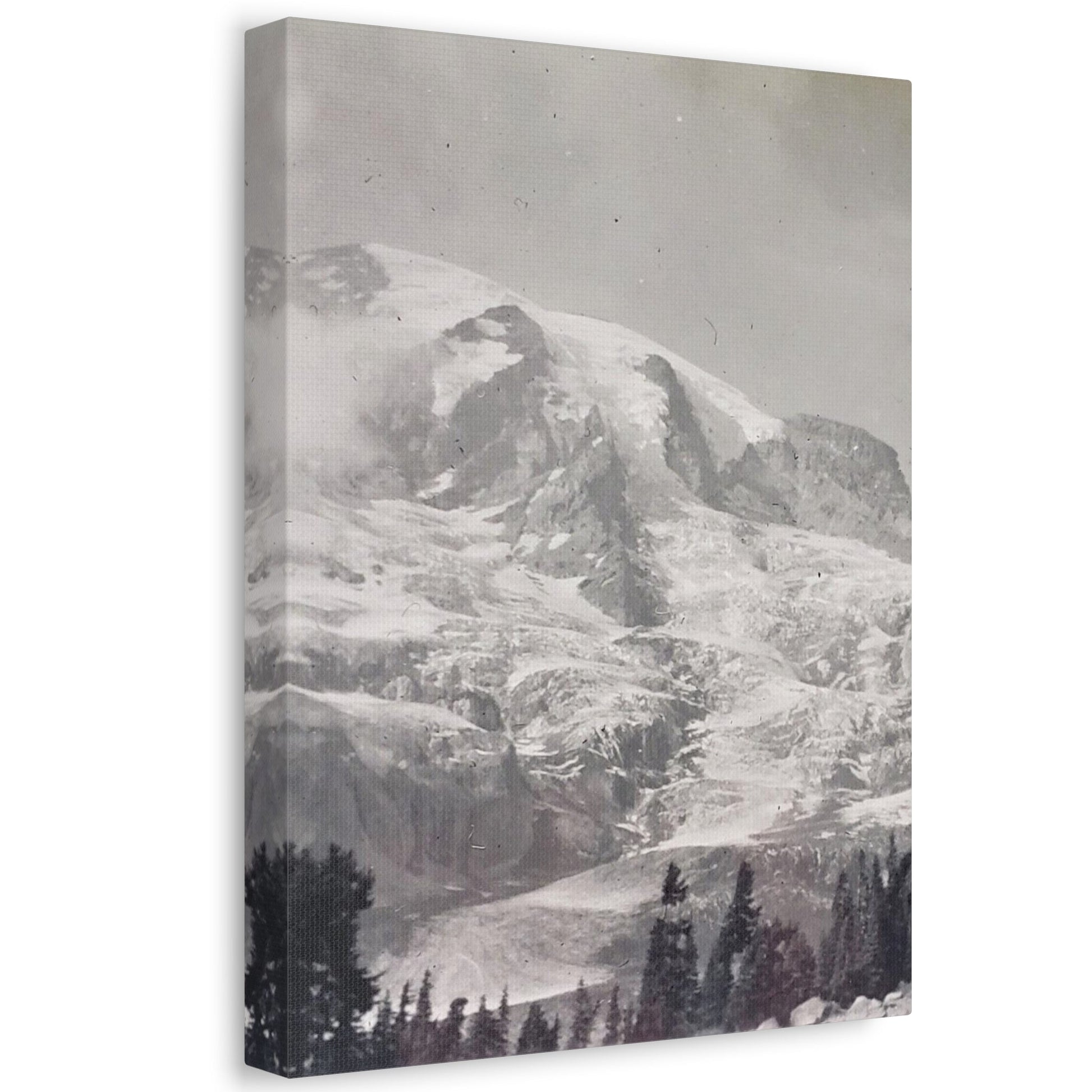 Mount Rainier Stretched Canvas