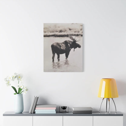 Yellowstone Bull Moose Satin Canvas, Stretched