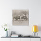 Buffalo at Redwood Falls Canvas Gallery Wraps 30″ x 30″ 1.25"